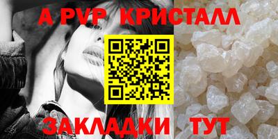 стаф Тверь