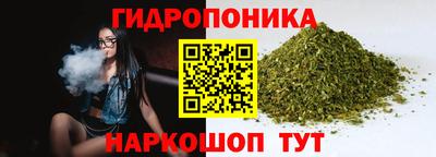 стаф Тверь