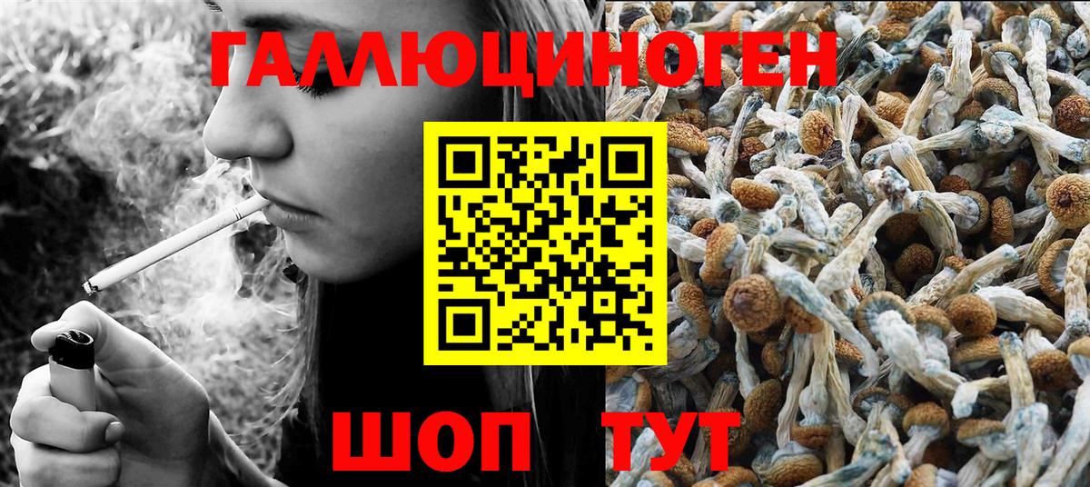 Псилоцибиновые грибы Magic Shrooms Алексин